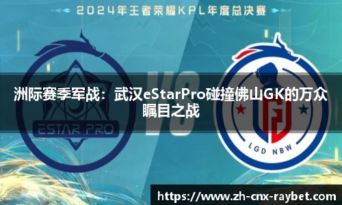 RAYBET雷竞技官方网站