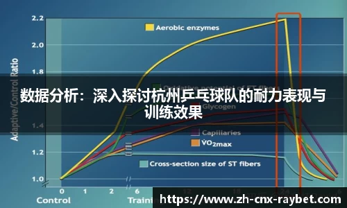 RAYBET雷竞技平台